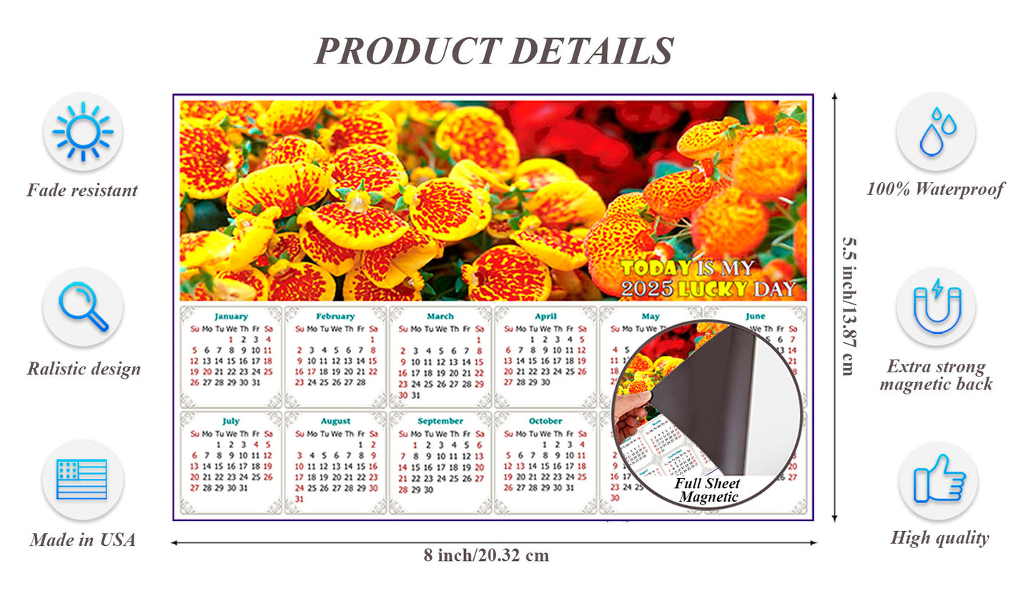 2025 Magnetic Calendar - Calendar Magnets - Today is My Lucky Day - Edition #13