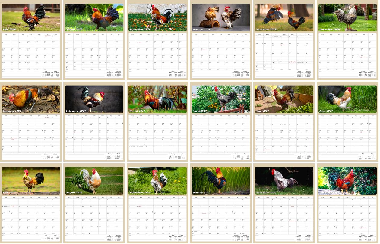 2026 - 2027 Calendar Magnetic Peel & Stick 18 Months 8.5" x 11" Roosters