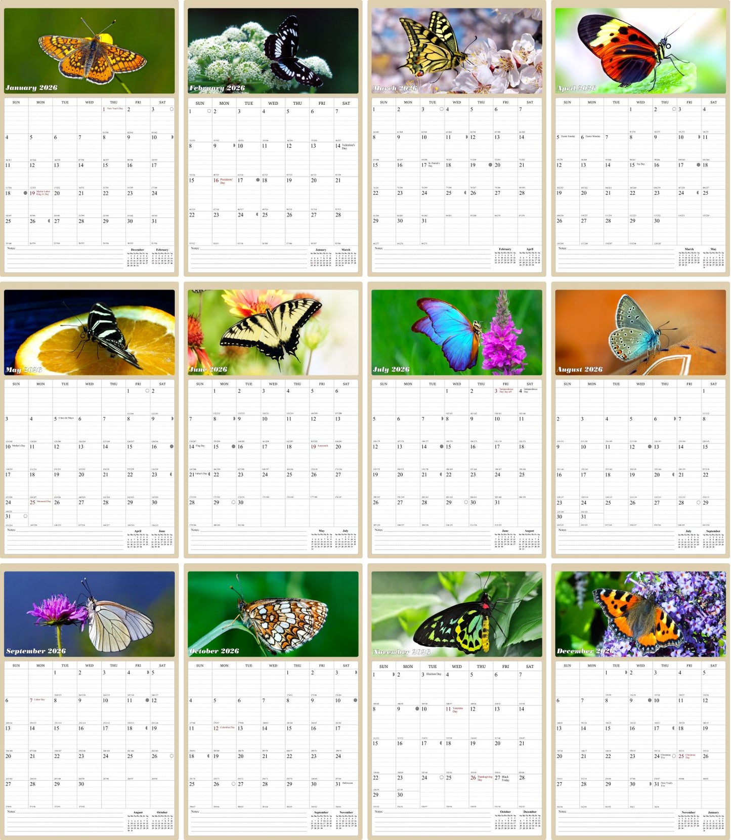 2026 Wall Calendar Spiral-bound Twin-Wire Binding - 12 Months Planner - Large Ruled Blocks with Julian Dates - (Butterfly)