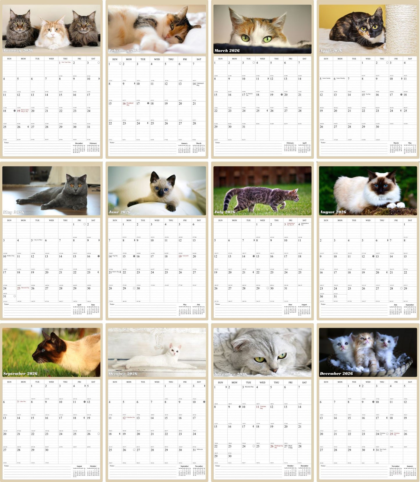 2026 Wall Calendar Spiral-bound Twin-Wire Binding - 12 Months Planner - Large Ruled Blocks with Julian Dates - (Cats)