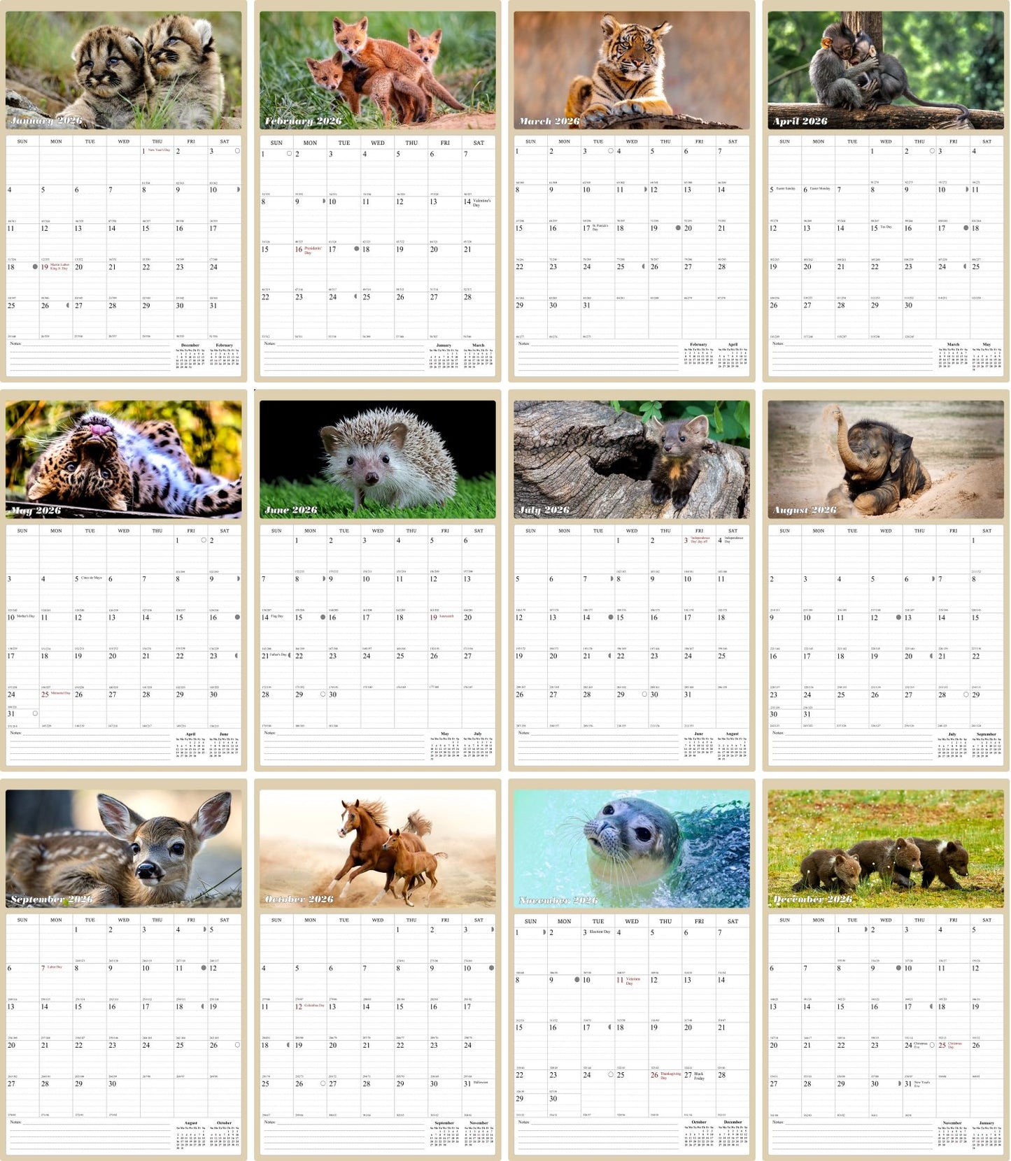 2026 Wall Calendar Spiral-bound Twin-Wire Binding - 12 Months Planner - Large Ruled Blocks with Julian Dates - (Baby Animals)
