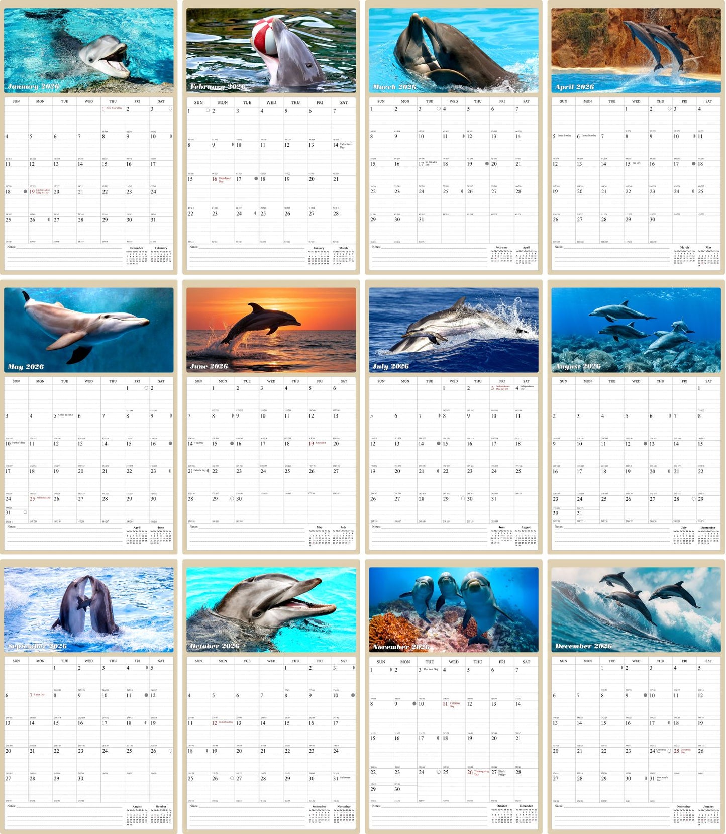 2026 Wall Calendar Spiral-bound Twin-Wire Binding - 12 Months Planner - Large Ruled Blocks with Julian Dates - (Dolphins)