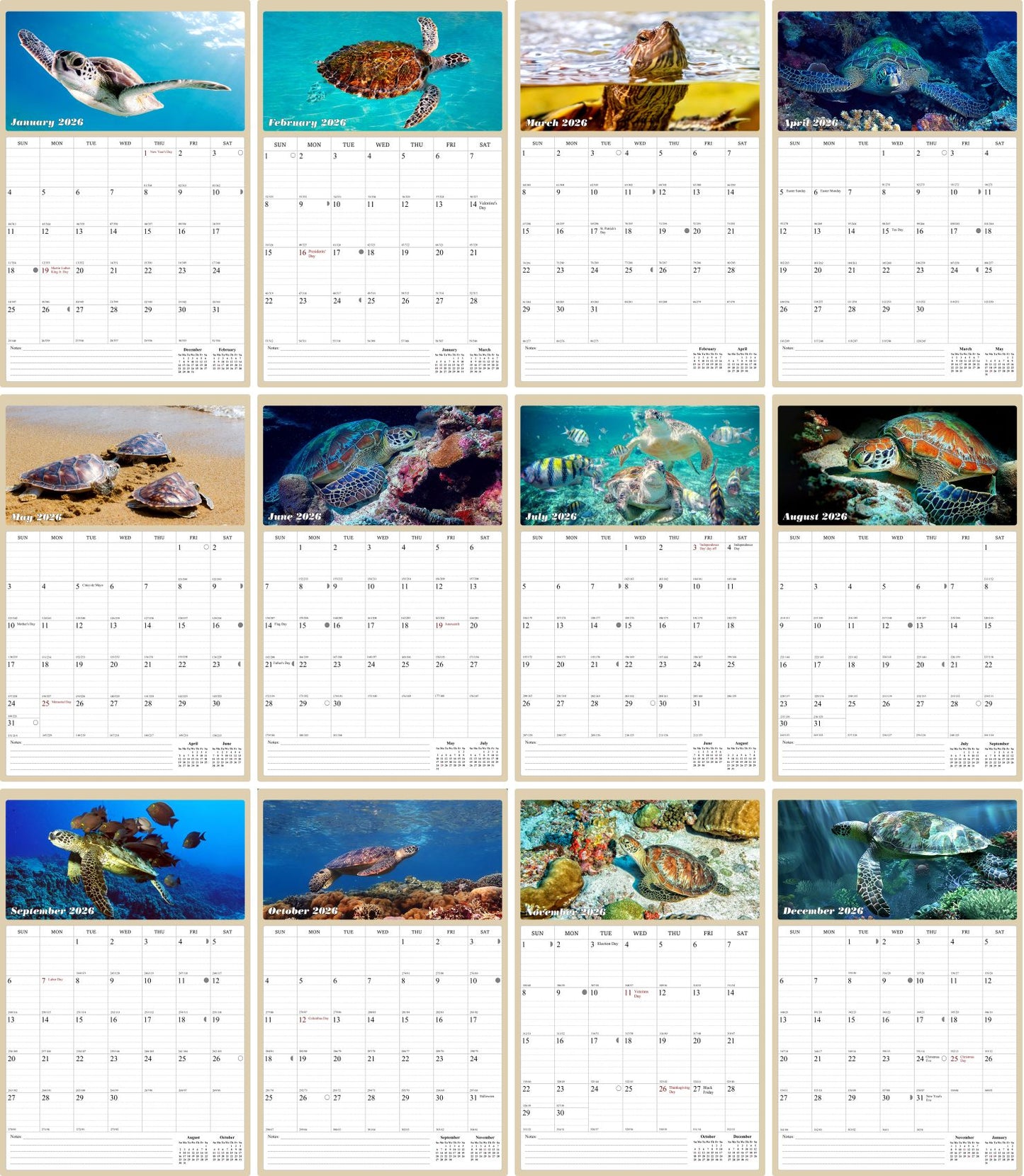 2026 Wall Calendar Spiral-bound Twin-Wire Binding - 12 Months Planner - Large Ruled Blocks with Julian Dates - (Turtles)