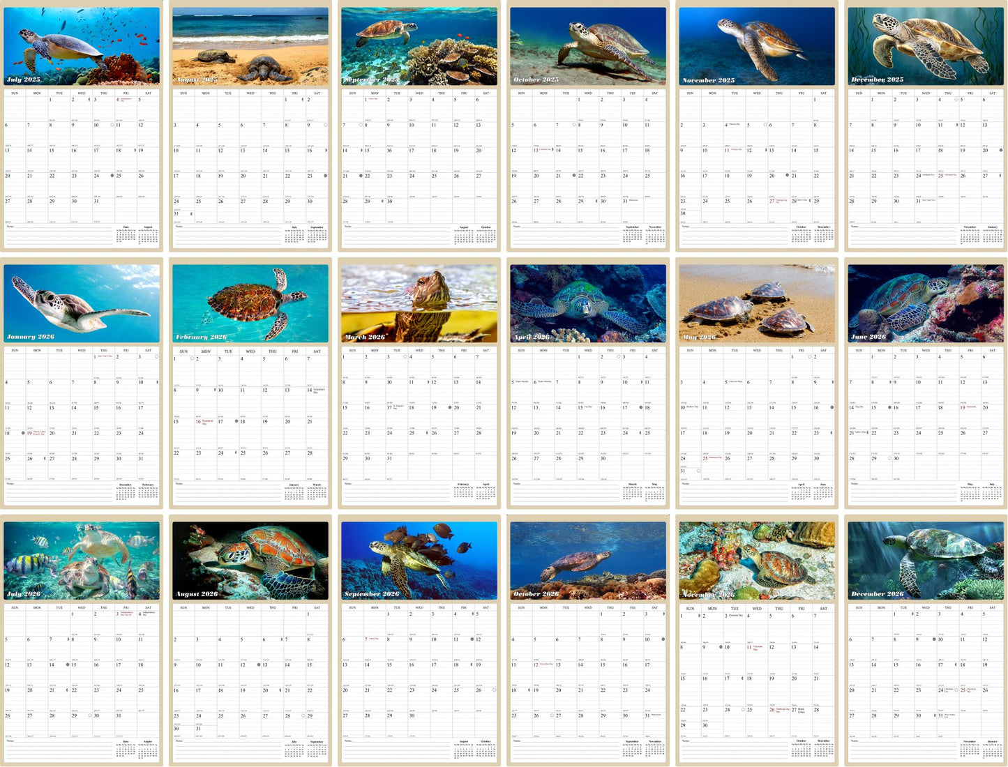 2025 - 2026 Wall Calendar Spiral-bound Twin-Wire Binding - 18 Months Planner - Large Ruled Blocks with Julian Dates - (Turtles)