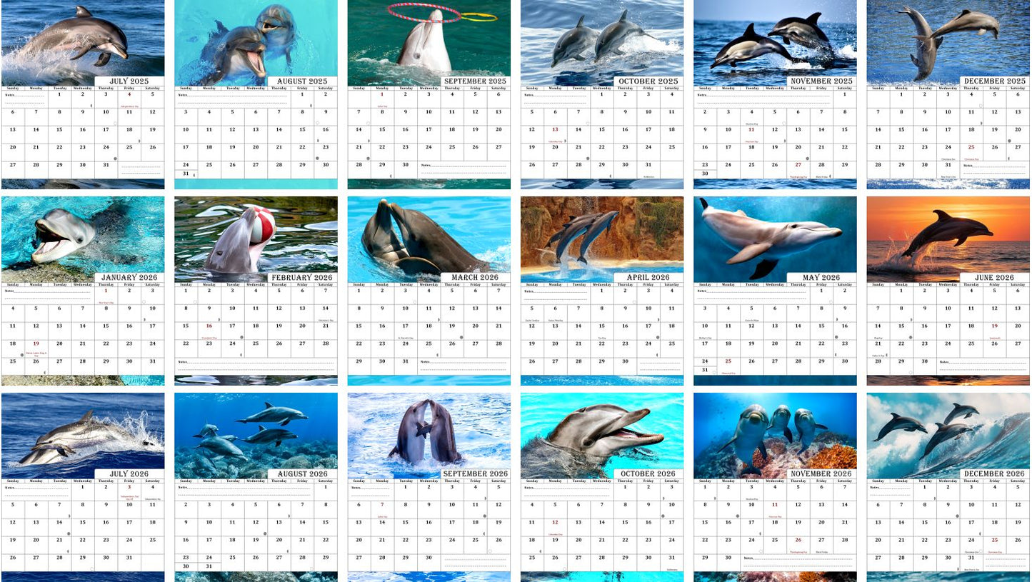 2025-2026 CD-Style Desk Calendar 18 Months Calendar (Dolphins)