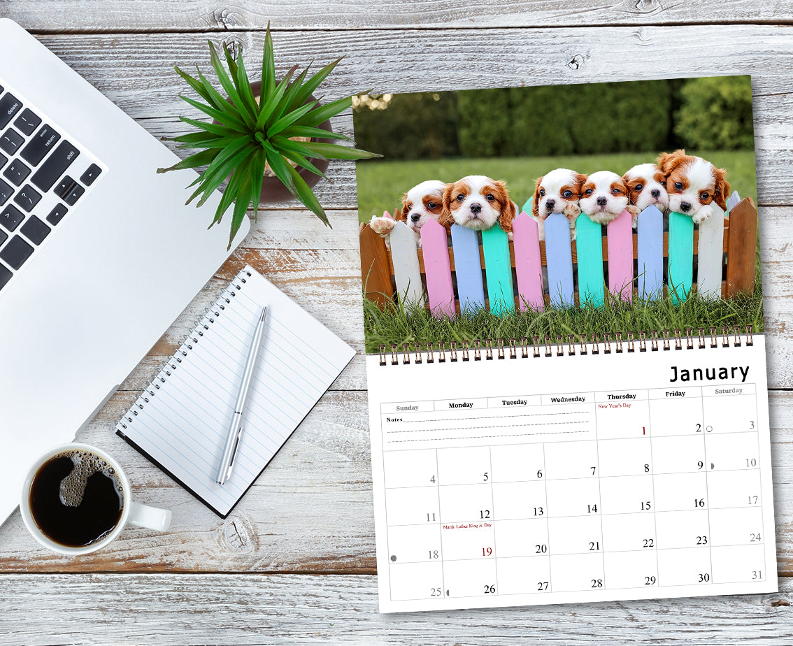2026 Spiral-bound Wall Calendar (Puppies) - 12 Months Desktop/Wall Calendar/Planner