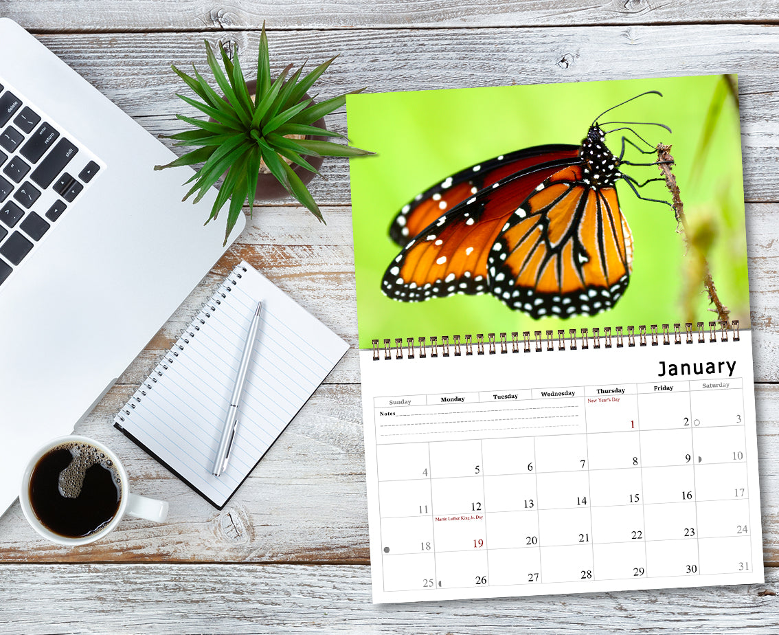 2026 Spiral-bound Wall Calendar (Butterflyes) - 12 Months Desktop/Wall Calendar/Planner