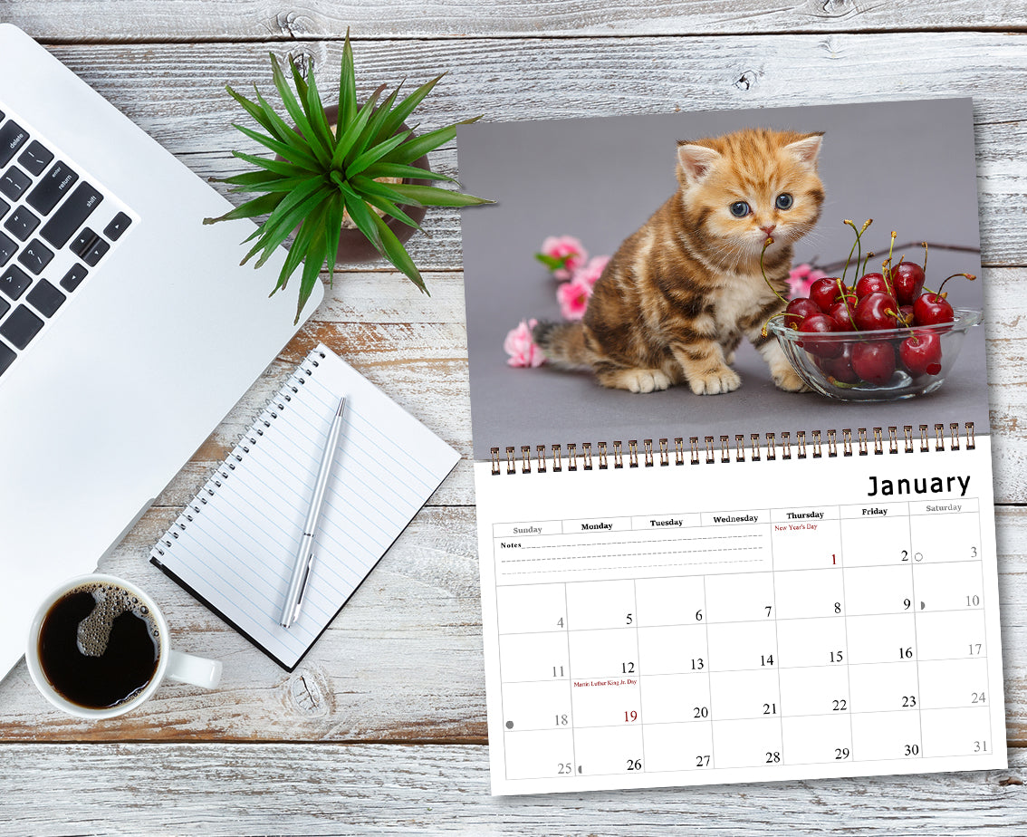 2026 Spiral-bound Wall Calendar (Kittens) - 12 Months Desktop/Wall Calendar/Planner