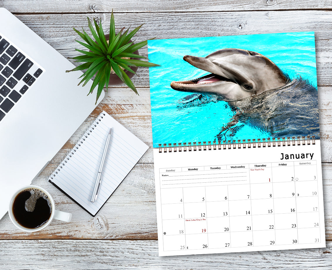 2026 Spiral-bound Wall Calendar (Dolphins) - 12 Months Desktop/Wall Calendar/Planner
