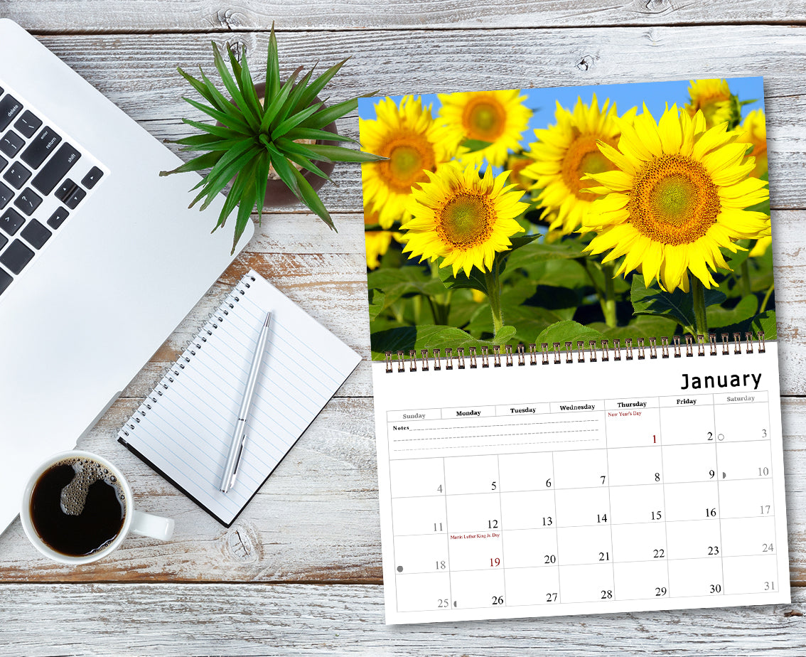 2027 Spiral-bound Wall Calendar (Sunflowers) - 12 Months Desktop/Wall Calendar/Planner