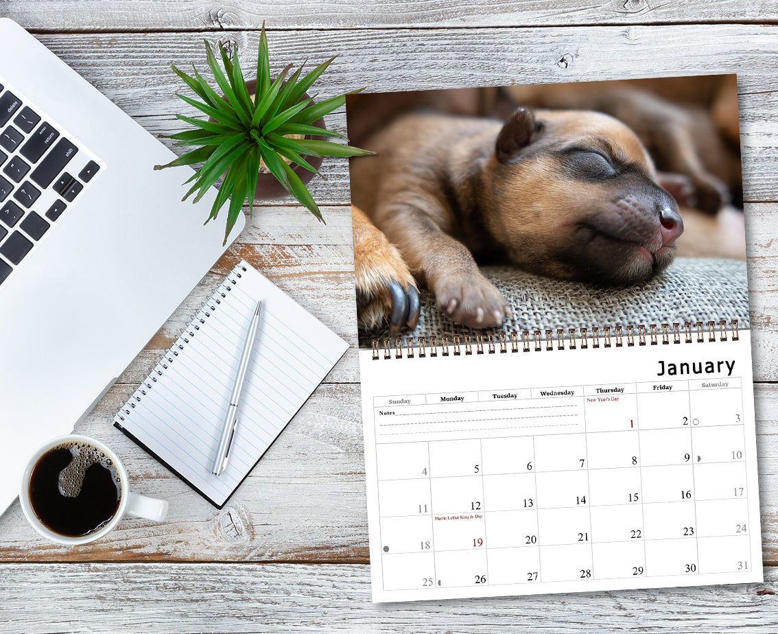 2026 Spiral-bound Wall Calendar (Dogs) - 12 Months Desktop/Wall Calendar/Planner