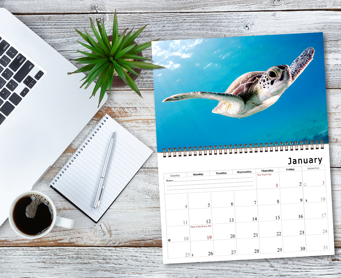 2026 Spiral-bound Wall Calendar (Sea Turtles) - 12 Months Desktop/Wall Calendar/Planner