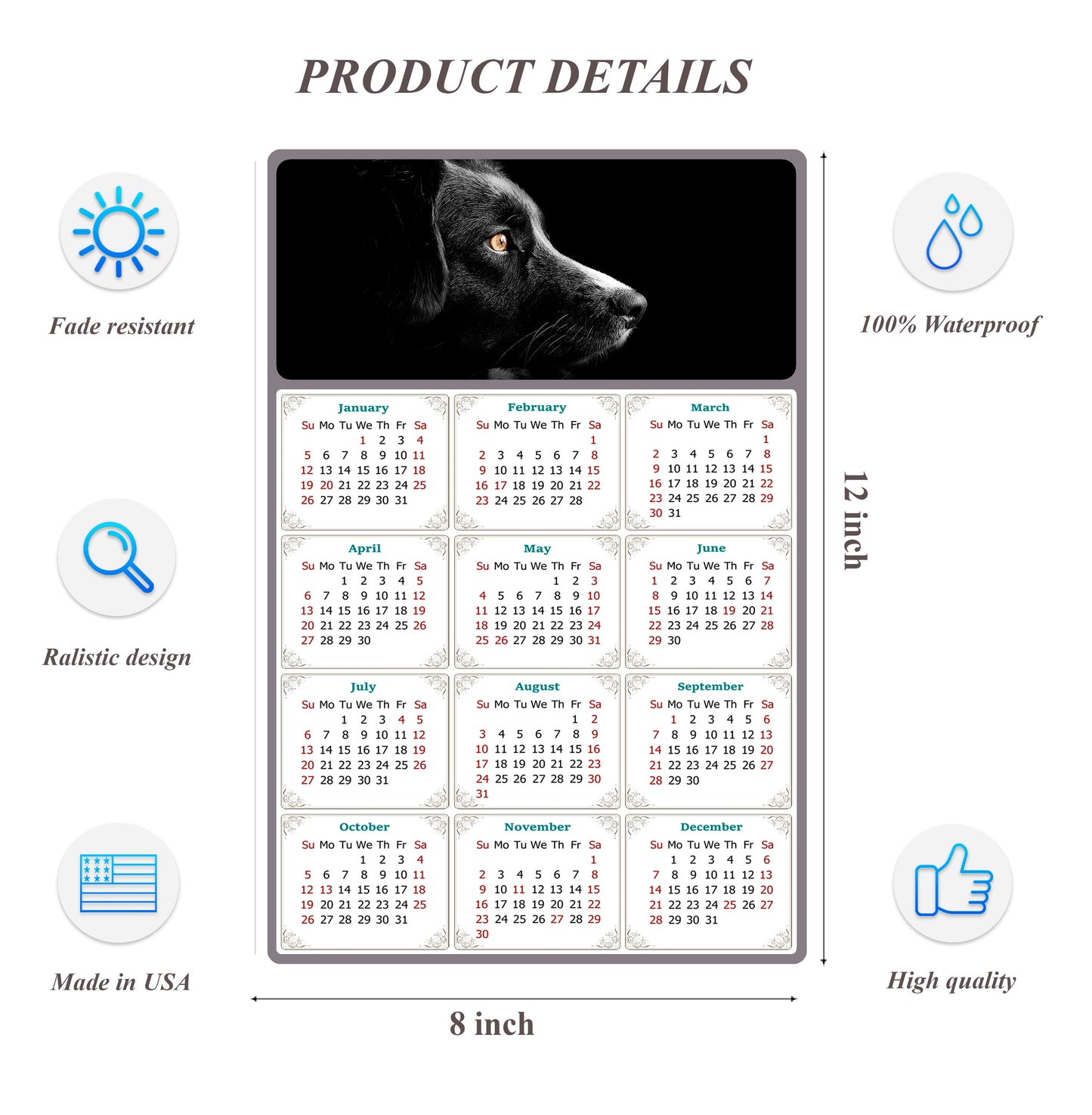 2026 Peel & Stick Calendar - Today is my Lucky Day Removable - Dogs 05 (12"x 8")