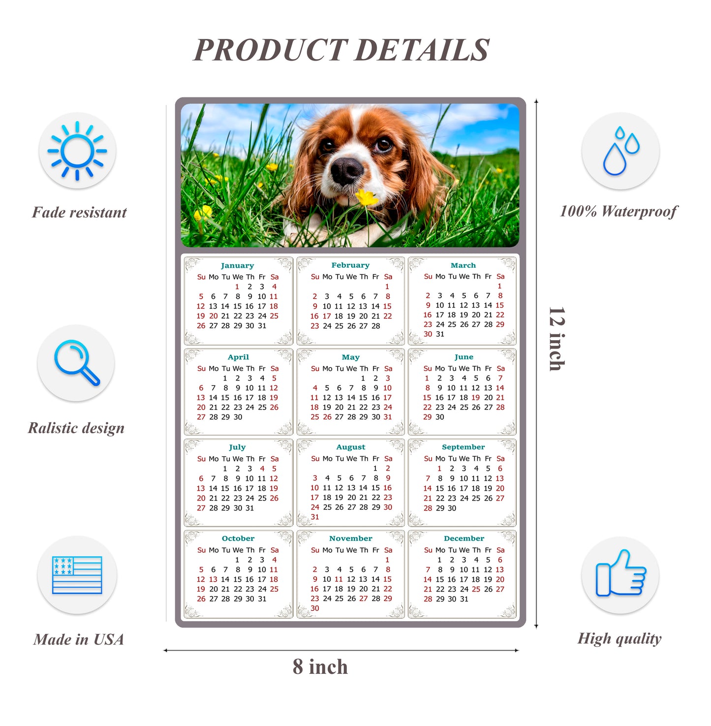 2026 Peel & Stick Calendar - Today is my Lucky Day Removable - Dogs 06 (12"x 8")