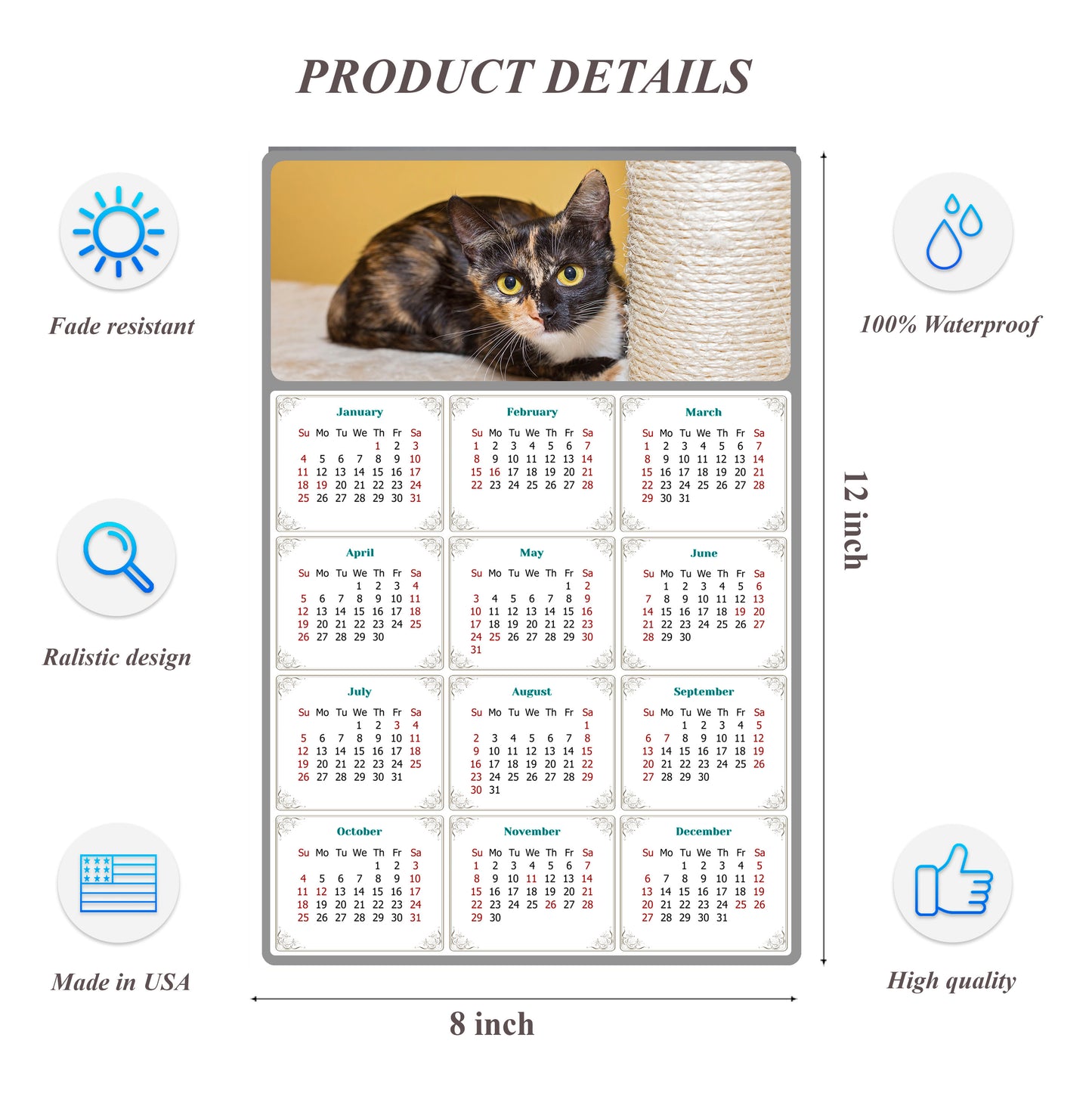 2026 Peel & Stick Calendar - Today is my Lucky Day Removable - Cat 024 (12"x 8")