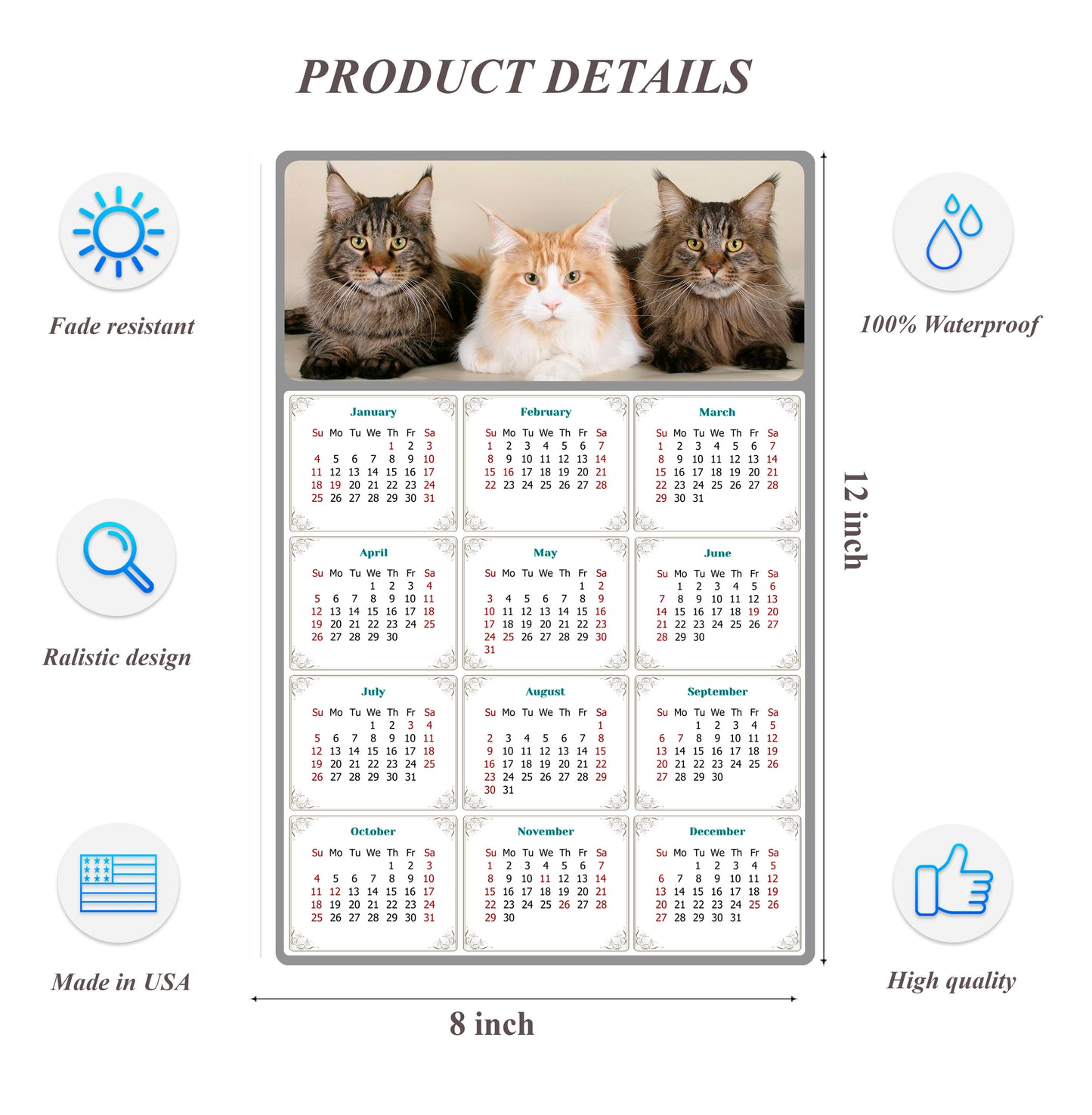 2026 Peel & Stick Calendar - Today is my Lucky Day Removable - Cat 015 (12"x 8")