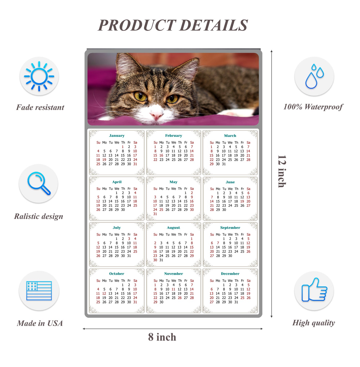 2026 Peel & Stick Calendar - Today is my Lucky Day Removable - Cat 022 (12"x 8")