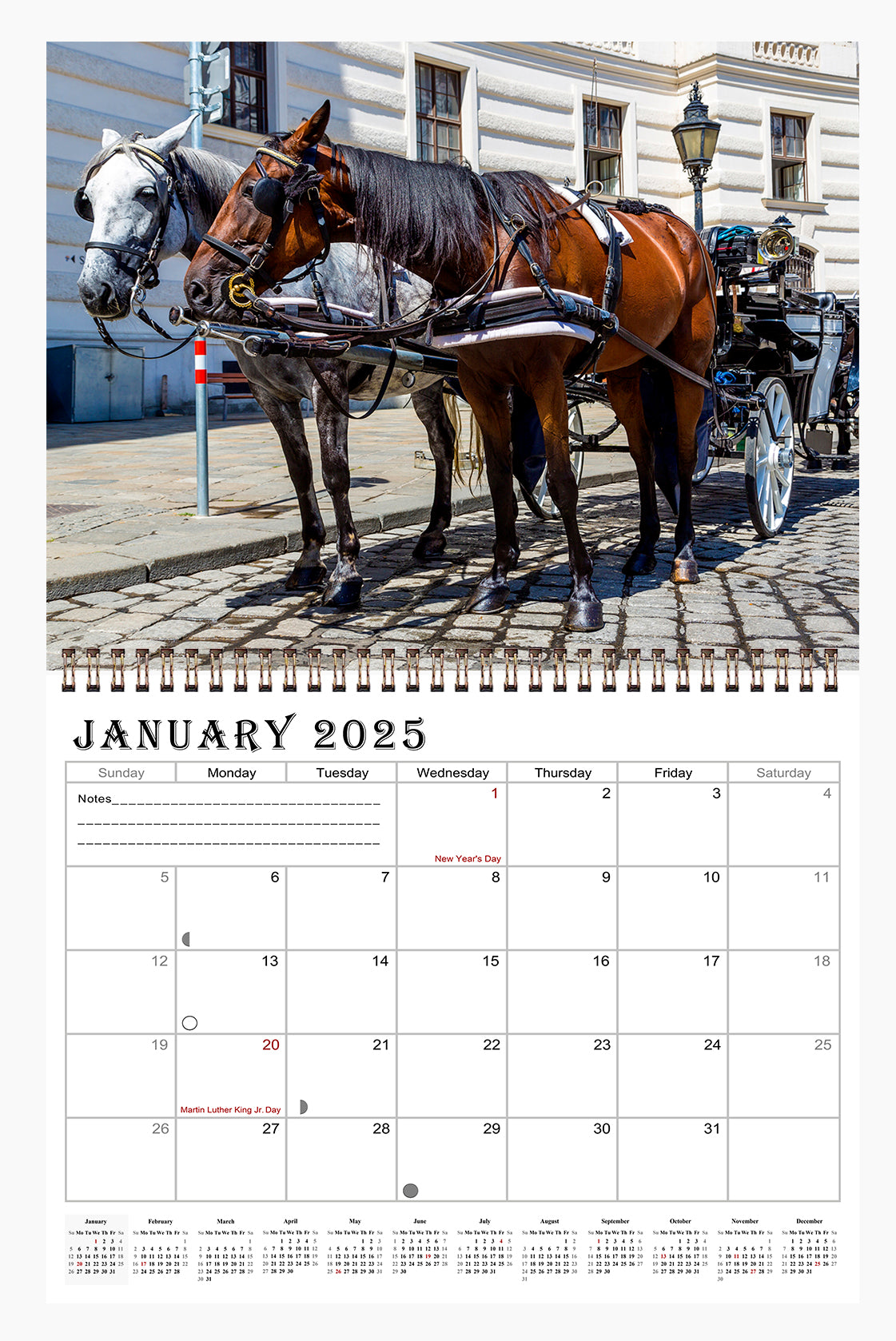 2025 Spiral-bound Wall Calendar (Horses) - 12 Months Desktop/Wall Calendar/Planner