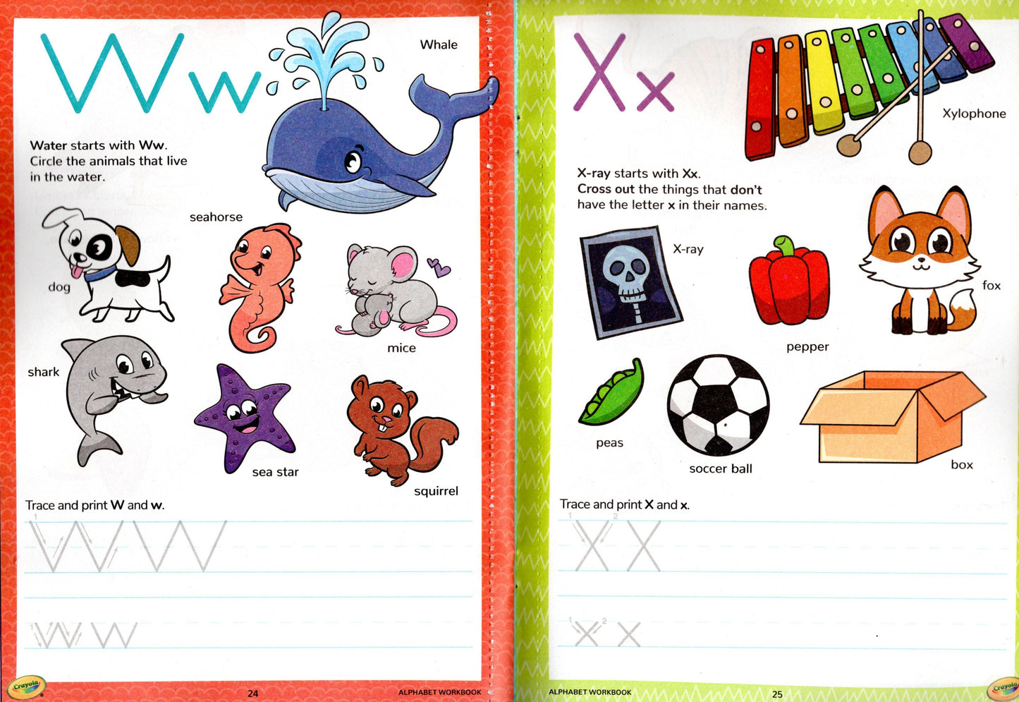 PRE-K & Kindergarten - Includes Number & Alphabet and More! - Workbooks Set of 2