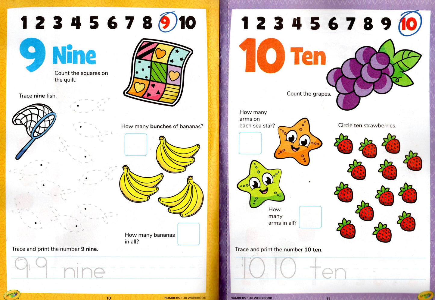 PRE-K & Kindergarten - Includes Number & Alphabet and More! - Workbooks Set of 2
