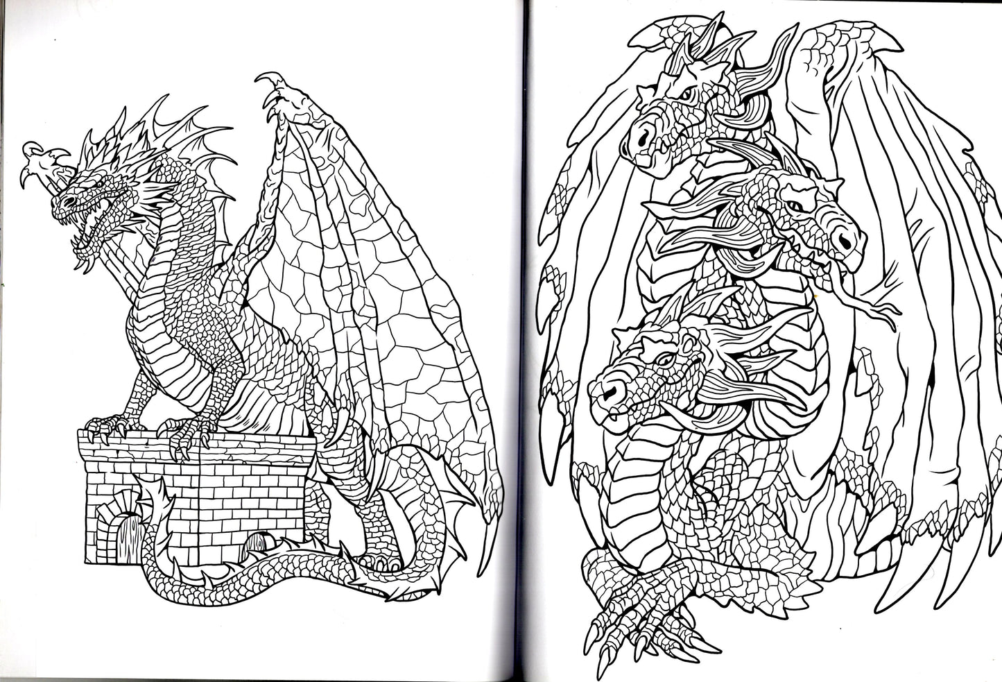 Coloring Book: Color-Your-Own - Free Spirit & Dragon Legens Mindful Coloring