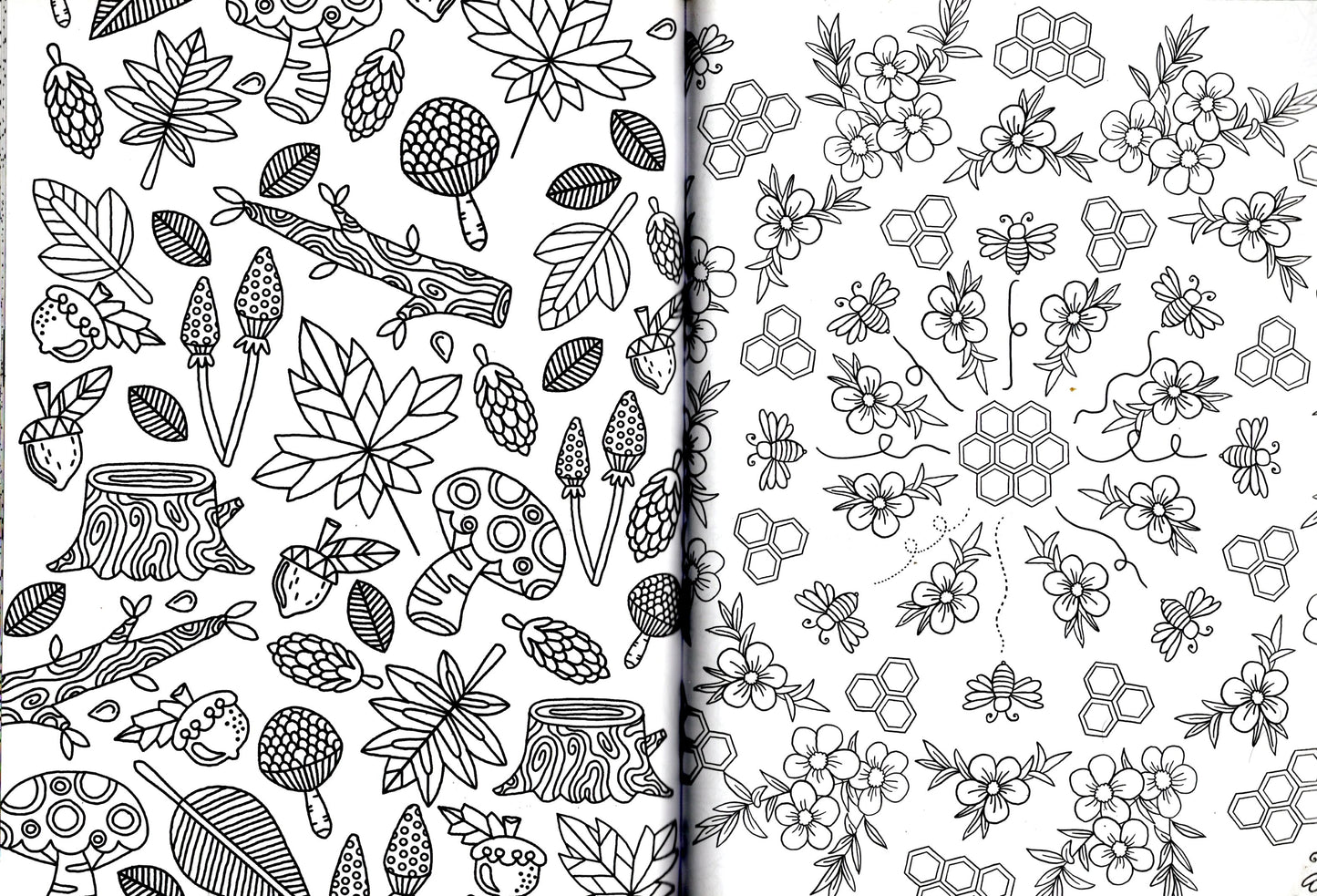 Coloring Book: Color-Your-Own - Free Spirit & Dragon Legens Mindful Coloring