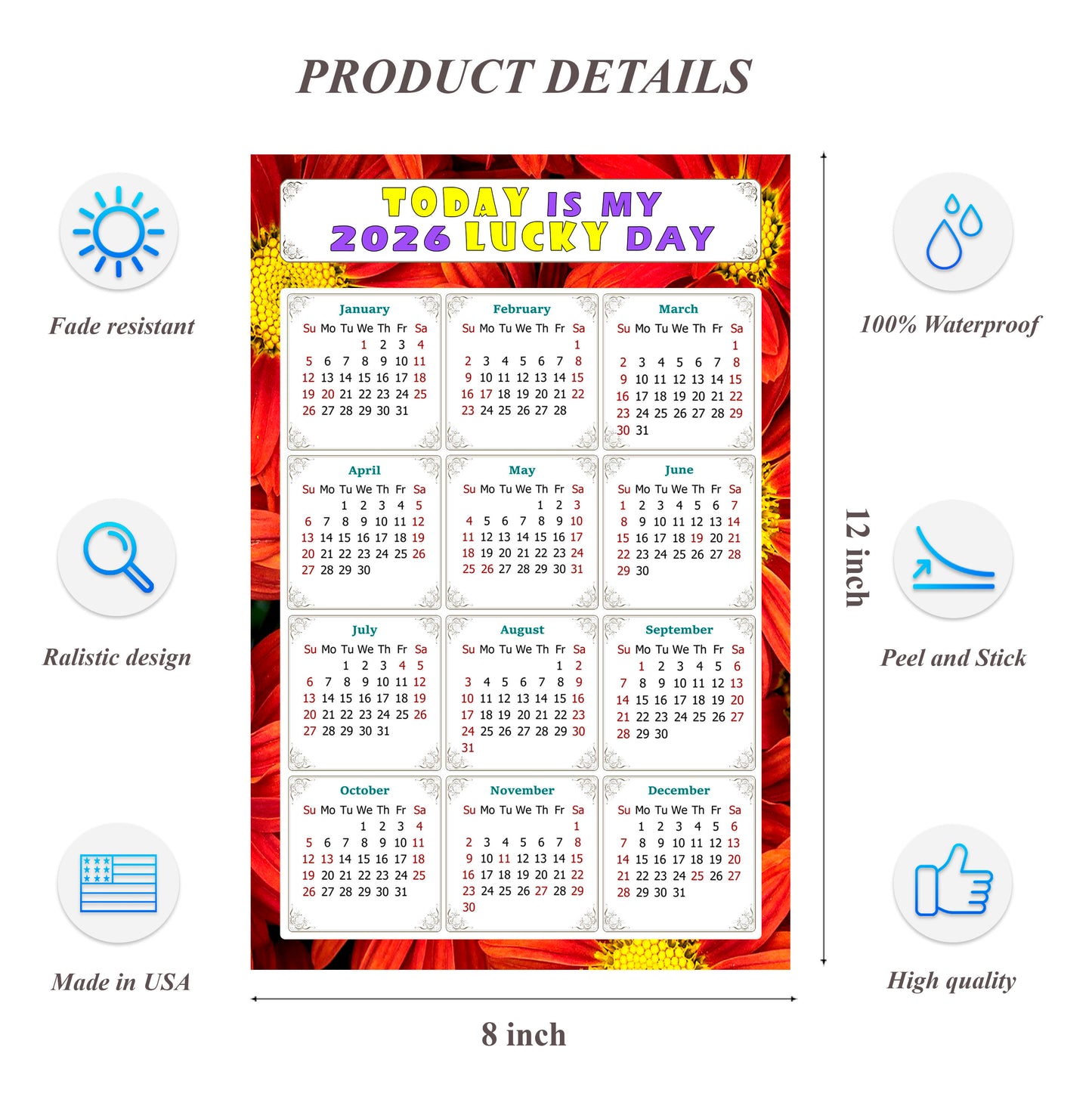 2026 Peel & Stick Calendar - Today is my Lucky Day Removable - 031
