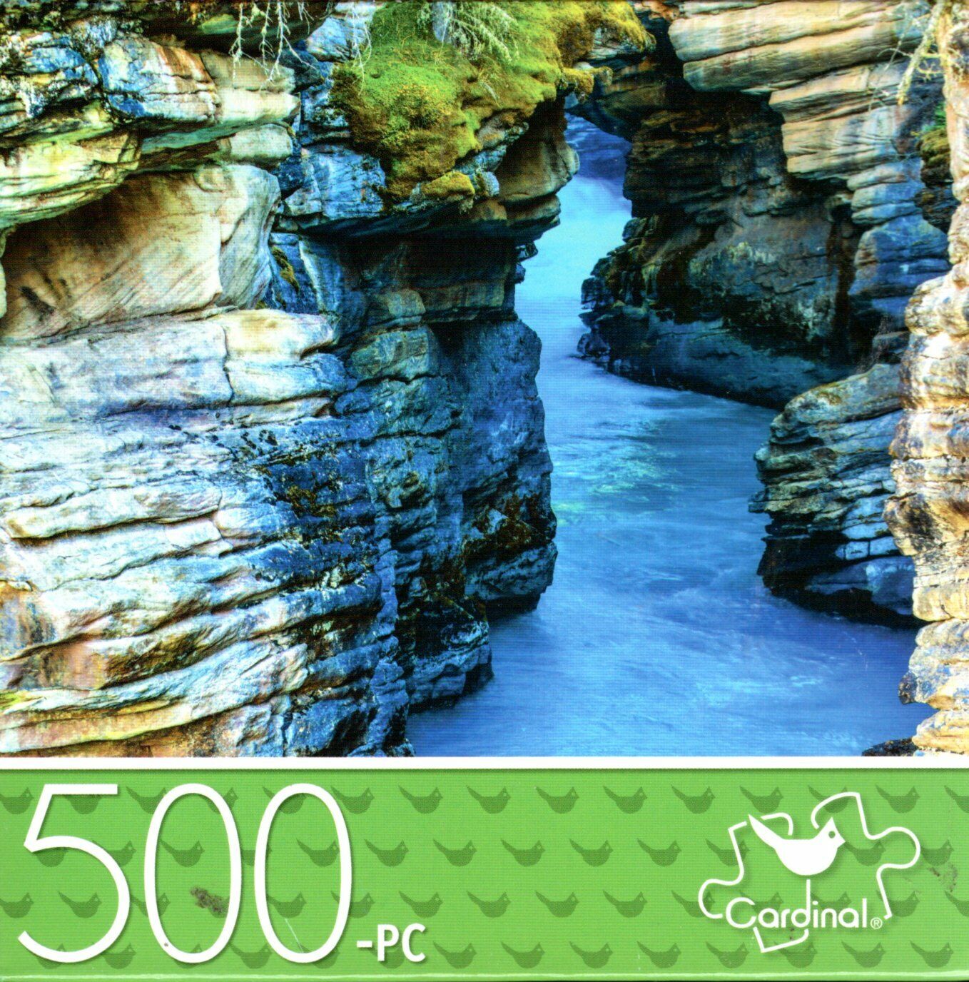 Athabasca Falls Canyon - 500 Piece Jigsaw Puzzle