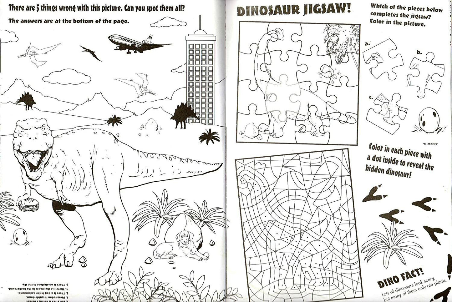 Coloring Activity Book Dinosaur