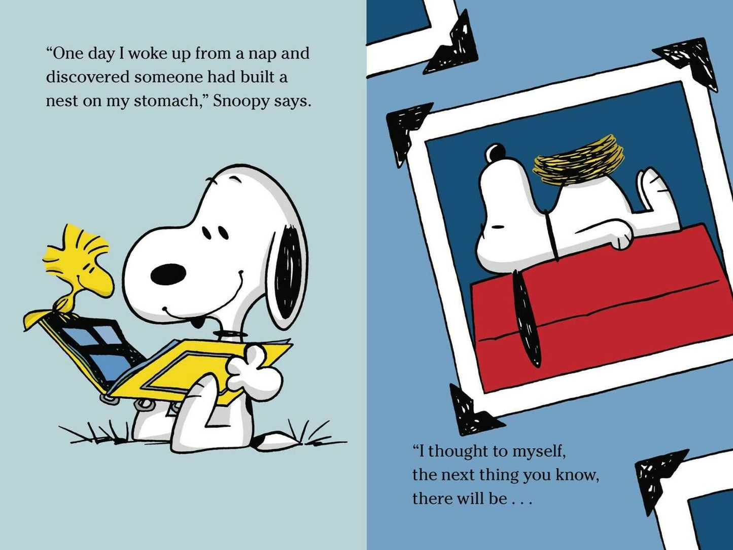 Peanuts - Set of 4 Books
