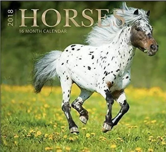 16 Month Wall Calendar 2018 - Horses