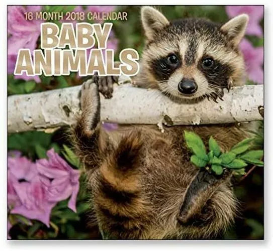 16 Month Wall Calendar 2018 - Baby Animals