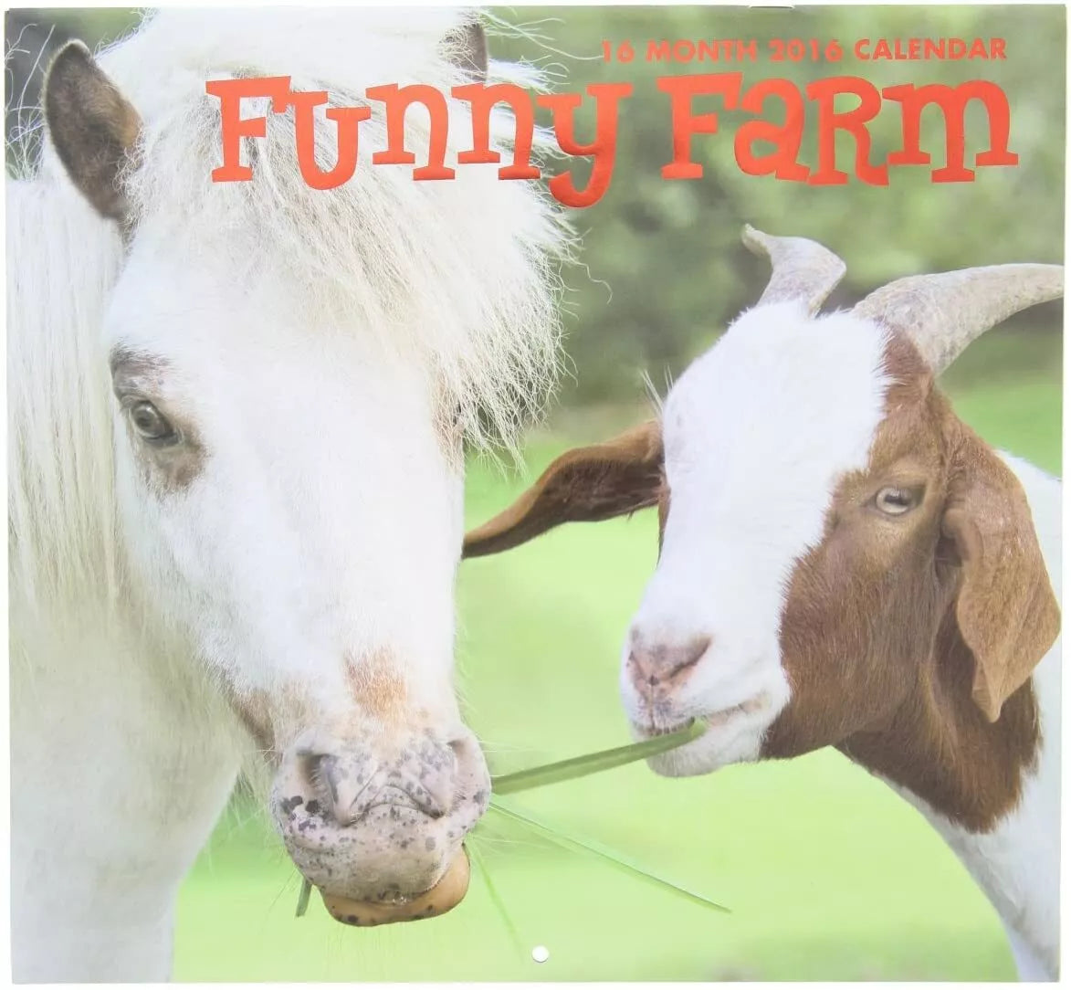 2016 Funny Farm 16 Month Wall Calendar