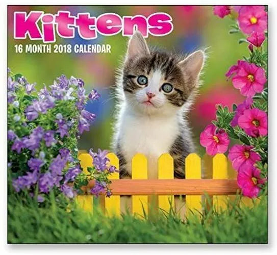 16 Month Wall Calendar 2018 - Kittens