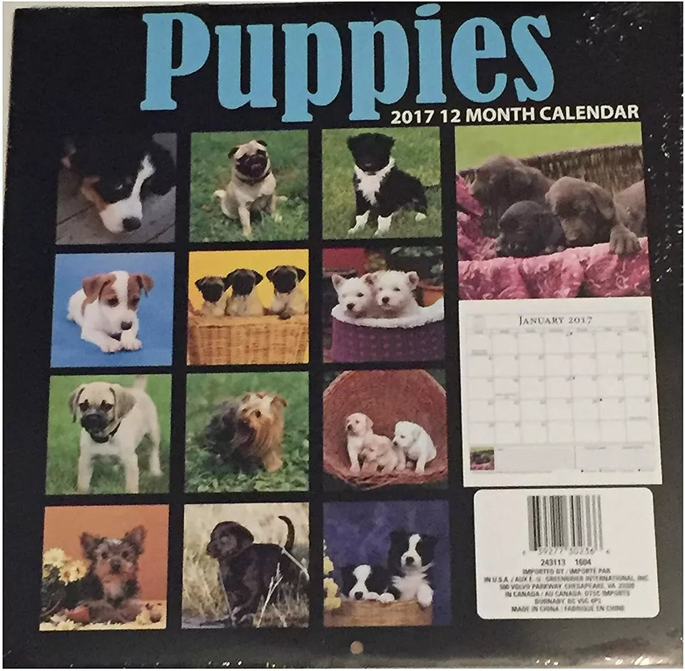 Puppies 12-Month 2017 Calendar