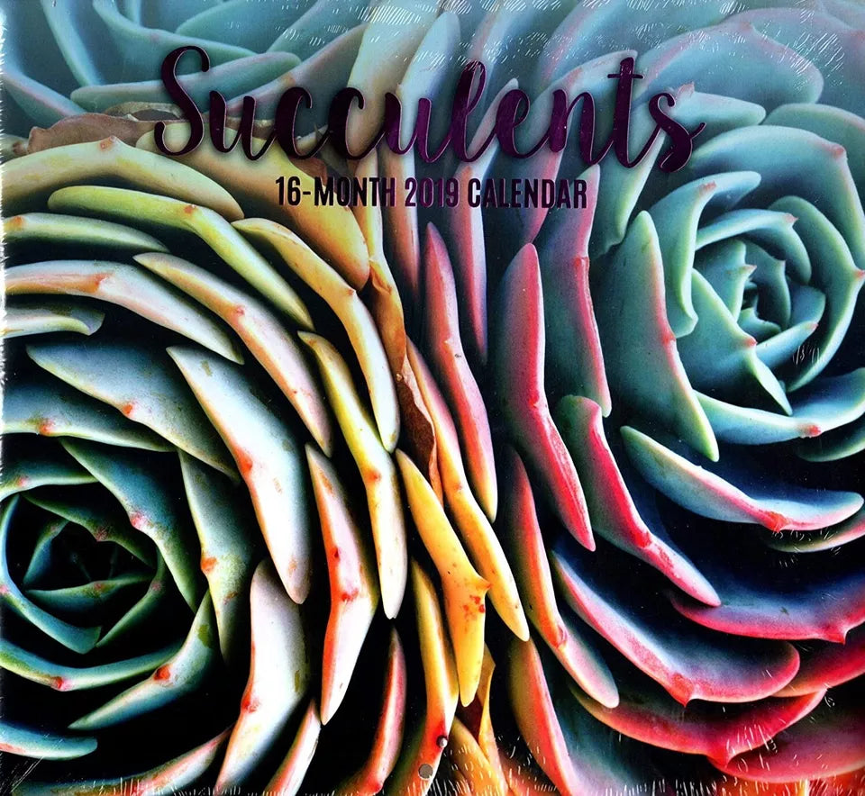 16 Month 2019 Wall Calendar - Succulents - with 120 Stickers
