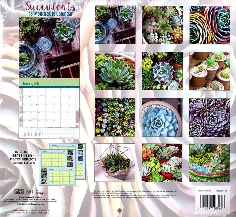 16 Month 2019 Wall Calendar - Succulents - with 120 Stickers