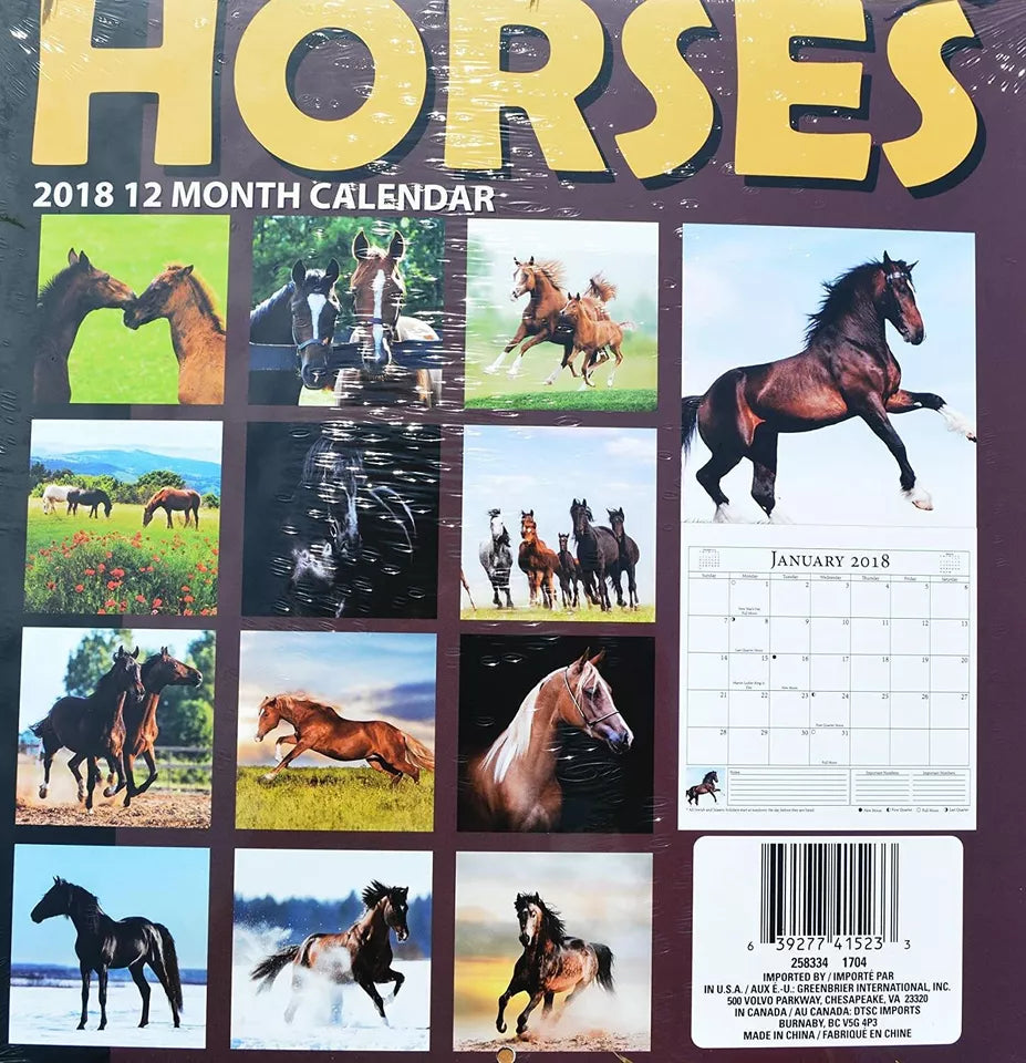 2018 Horses Wall Calendar