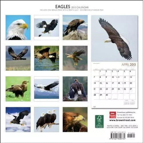 (12x12) Eagles - 2013 Wall Calendar