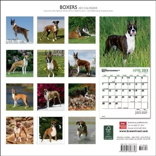 (12x12) Boxers - 2013 Wall Calendar