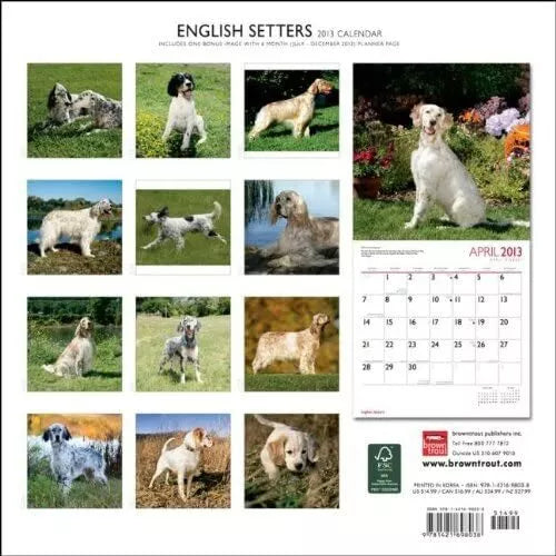 (12x12) English Setters - 2013 Wall Calendar