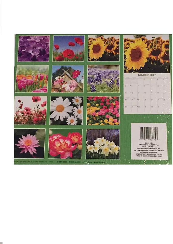 Blossoms 2017 12-Month Calendar and Butterflies Mini-Calendar