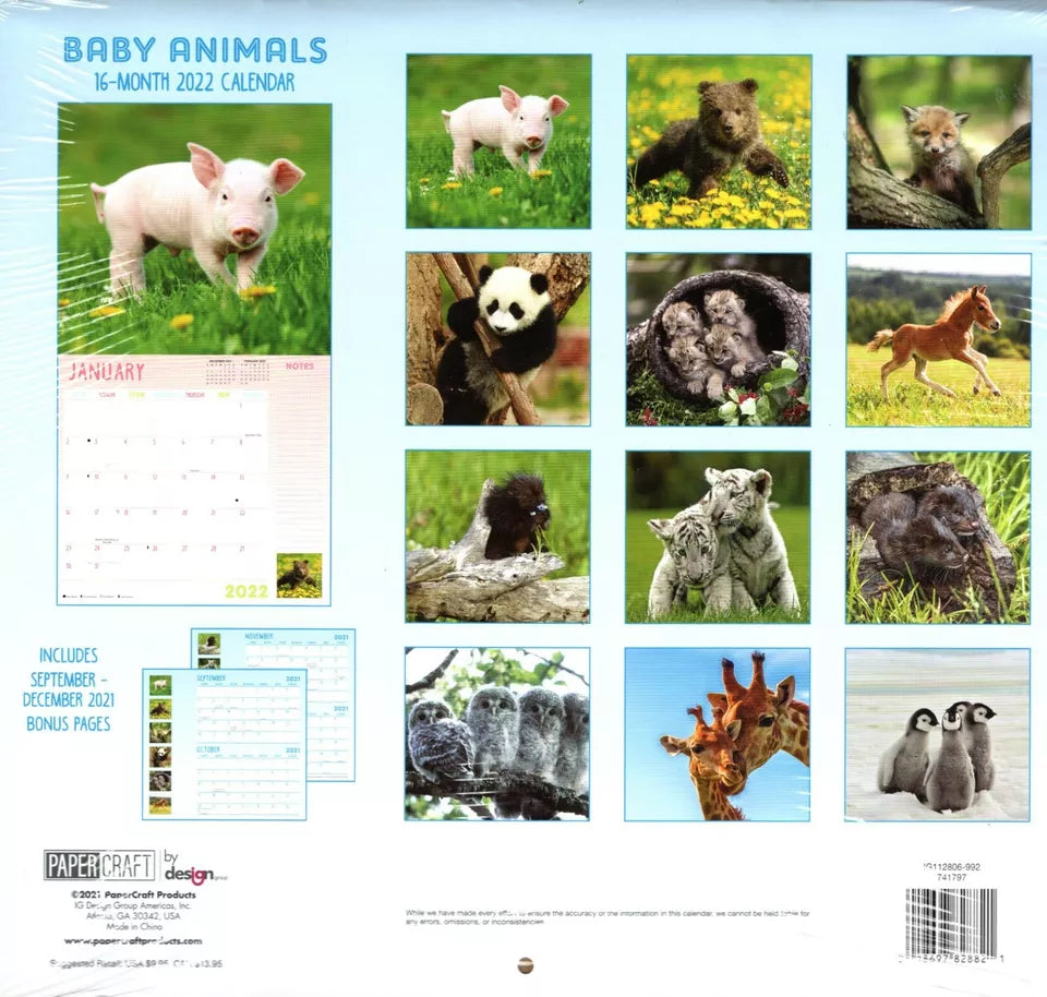 2022 16 Month Wall Calendar - Baby Animals