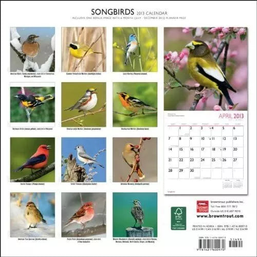 (12x12) Songbirds - 2013 Wall Calendar