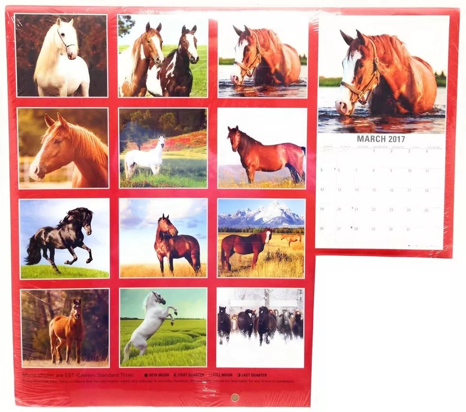 2017 Calendar Horses 12" x 12" With Mini Calendar