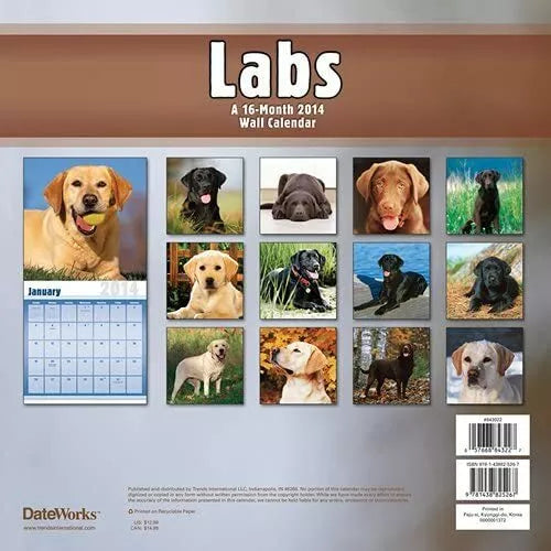 (12x12) Labs - 2014 Calendar