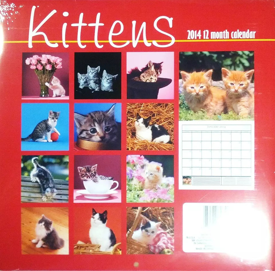 1 X Kittens 2014 12 Month Calendar