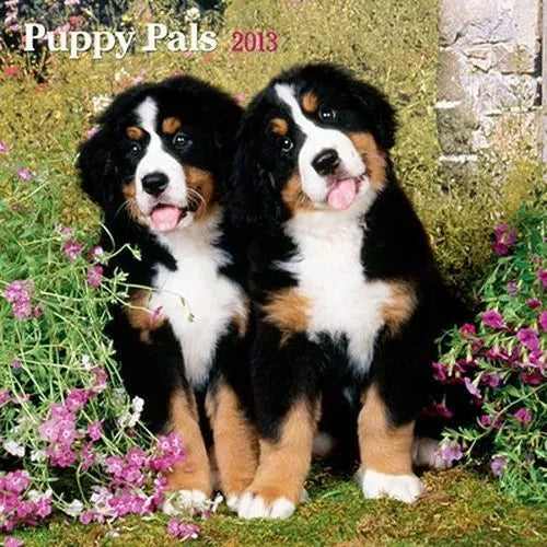 2013 Calendar Puppy Pals 2013 Wall Calendar