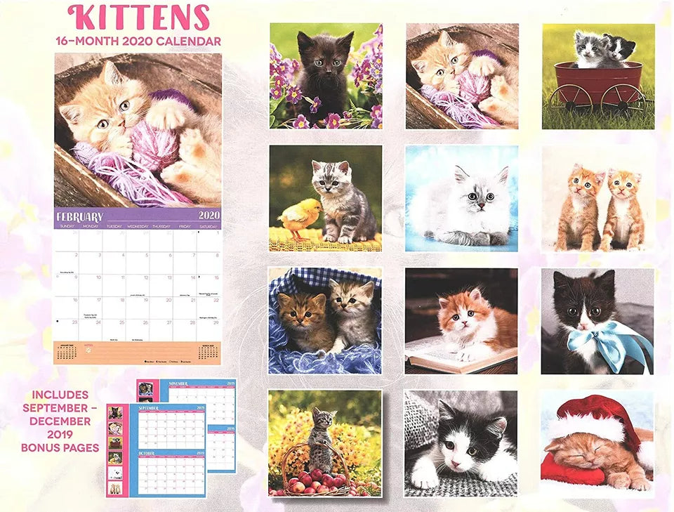 2020 Kittens Full-Size Wall Calendar, 16-Month