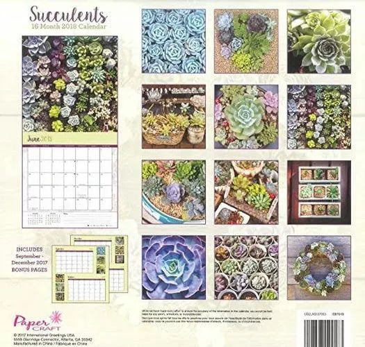 Succulents 2018 Premium Wall Calendar (16-month)